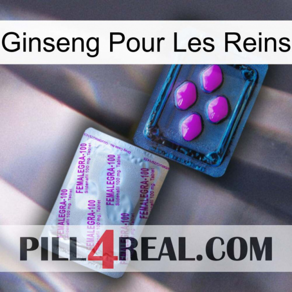 Ginseng For Kidney 37.jpg